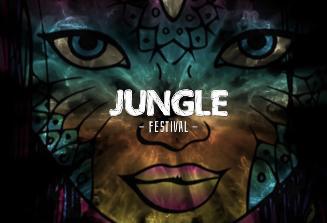 Cameratoezicht tijdens Jungle festival op Ijzeren man Eindhoven, geleverd aan FeDa Security Solutions!